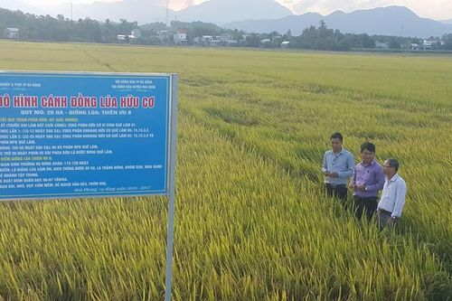 Đoàn công tác của T.Ư Hội Nông dân làm việc tại Hòa Vang