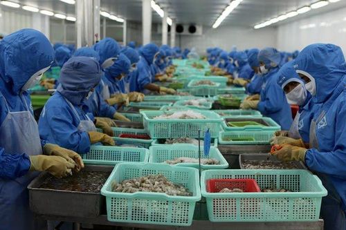 Trung Quốc tắc, EU khó... sức mạnh tỷ USD Việt Nam lao dốc