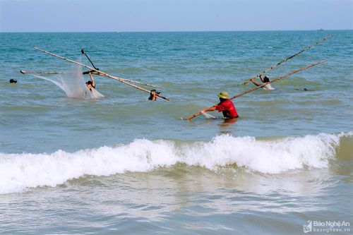 Ngư dân Nghệ An nhộn nhịp vớt 'lộc biển'