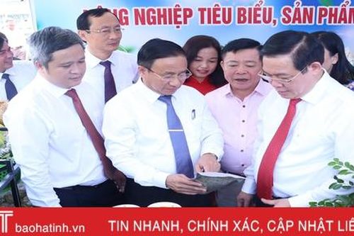 Phó Thủ tướng Vương Đình Huệ và các đại biểu ấn tượng với sản phẩm nông nghiệp, nông thôn tiêu biểu Hà Tĩnh