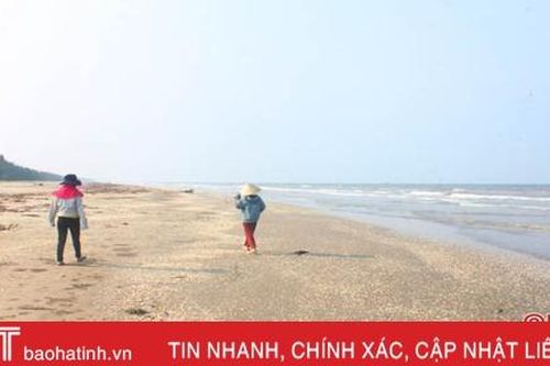 Biển Lộc Hà không còn hiện tượng cá chết dạt vào bờ
