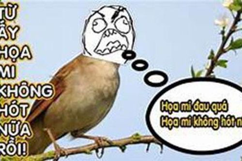 Điểm qua những trào lưu gây bão cực mạnh của giới trẻ năm 2018