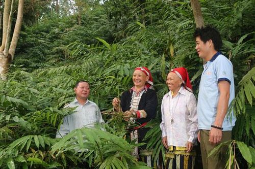 Căng cờ búa liềm trên dãy Hoàng Liên - Bài cuối: Phát triển đảng viên - 'chìa khóa' mở cửa tương lai