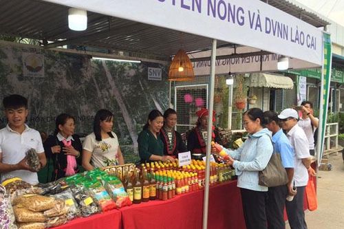 Quảng bá nông sản Lào Cai hội chợ Triển lãm nông nghiệp quốc tế lần thứ 19