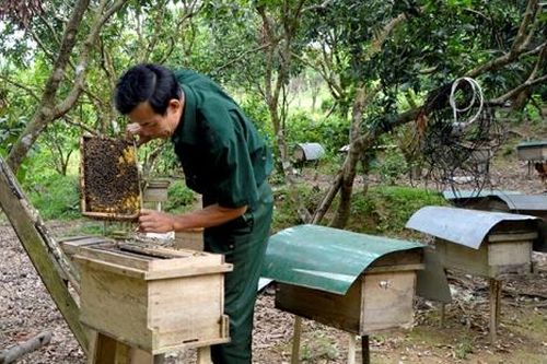Tín dụng chính sách thúc đẩy kinh tế vùng đồng bào dân tộc thiểu số Minh Hóa