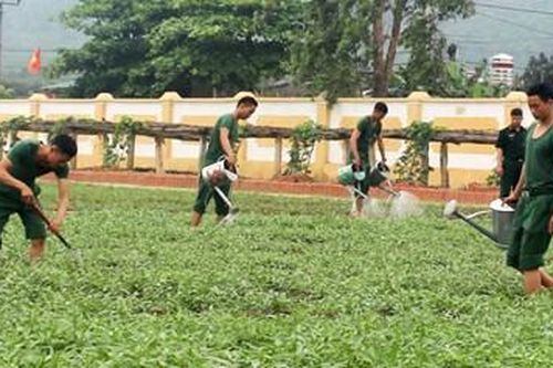 Chủ động nguồn thực phẩm để bảo đảm tốt đời sống bộ đội