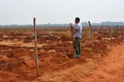 Sắp xét xử 12 cán bộ sai phạm tại Ban quản lý rừng phòng hộ Bắc Biển Hồ