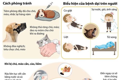 Cảnh báo về số ca tử vong do bệnh dại gây nên
