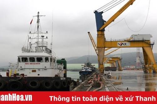 Vướng mắc về mặt bằng thực hiện Dự án Cảng tổng hợp quốc tế Nghi Sơn