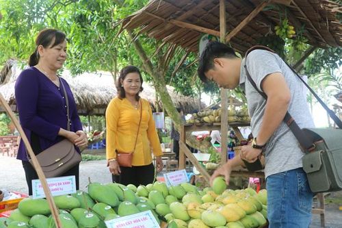 Để nông dân 'ăn nên làm ra' từ du lịch nông nghiệp