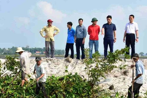 Chính trị - Xã hội Chính trị - Xã hội Phó chủ tịch UBND tỉnh Phan Thiên Định kiểm tra Ngày chủ nhật xanh tại Quảng Điền
