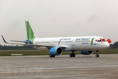 Bamboo Airways to go IPO next year