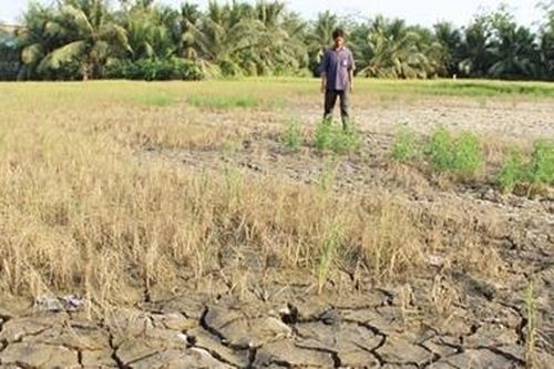 Miền Tây lo gần với cả lo xa