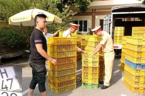 Chặn các ngả đường 'thẩm lậu' hàng phi pháp dịp cuối năm