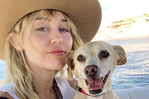 Miley Cyrus ngầm chỉ trích tình cũ?