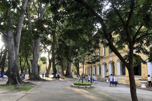 Phấn đấu 100% trường học tại Hà Nội có thư viện độc lập