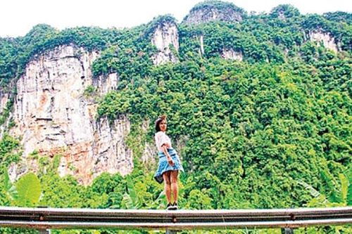 Tế bào gốc & sự kỳ diệu của khoa học