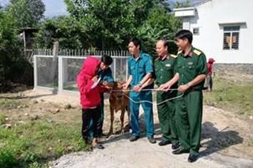 Bộ CHQS tỉnh Khánh Hòa trao bò tặng hộ nghèo huyện Khánh Vĩnh