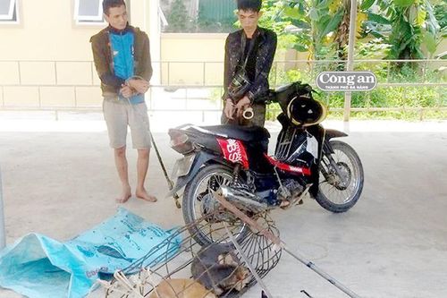'Cẩu tặc' thúc thủ