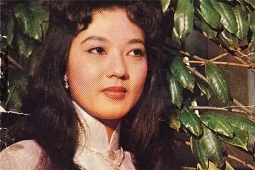 Những mỹ nhân là biểu tượng nhan sắc một thời của làng giải trí Việt