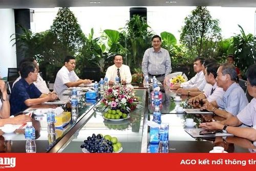 Ma trận thị trường kính cường lực