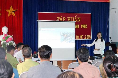 Hiểu chính sách để giữ rừng tốt hơn