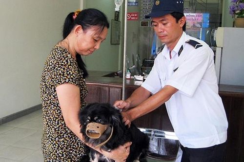 Tiêm vắc-xin để loại trừ bệnh dại