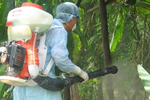 Diệt lăng quăng để phòng, chống bệnh sốt xuất huyết có hiệu quả