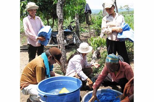 Nguy cơ bùng phát bệnh sốt rét ở Ia Pa