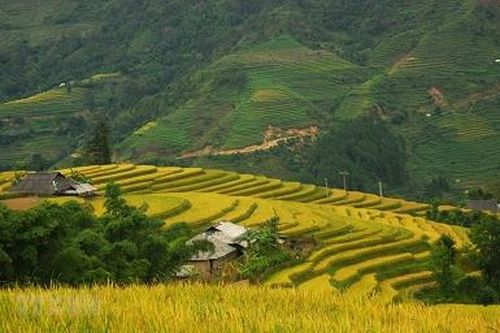 Bắc Bộ sáng sớm có sương mù, ngày nắng, Nam Bộ mưa dông vài nơi