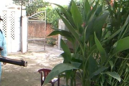 Quảng Ngãi tích cực chủ động phòng chống bệnh sốt xuất huyết