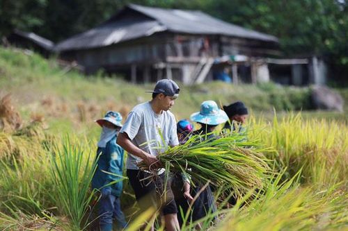 Nở rộ xu hướng du lịch cộng đồng