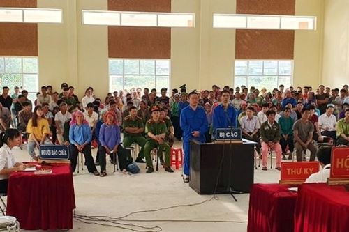 11 năm tù cho hai đối tượng chặt hạ gỗ nghiến