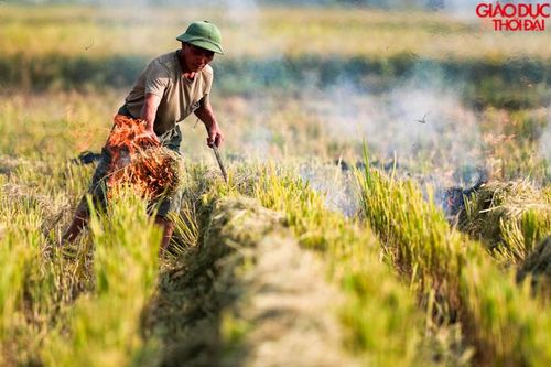 Hà Nội: Ngoại thành nghi ngút khói rơm rạ, nội thành đặc quánh sương mù