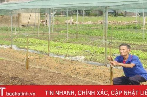 Làng rau an toàn Đại Nghĩa nhộn nhịp sản xuất vụ đông