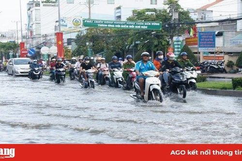Long Xuyên: Triều cường gây ngập lụt nhiều tuyến đường