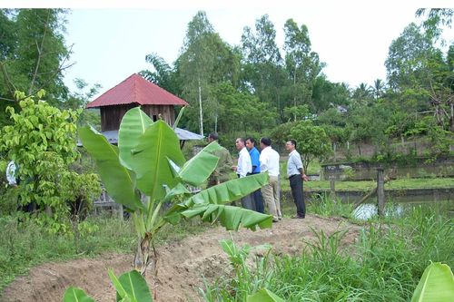 Gia Lai: Kiểm soát loài tôm càng đỏ và tôm hùm nước ngọt