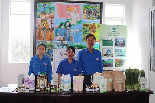 Thanh niên Gia Lai ấp ủ ý tưởng khởi nghiệp