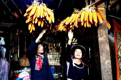 Ánh sáng trên núi Tu Thượng