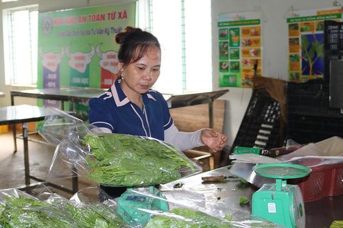 Liên kết sản xuất góp phần nâng cao giá trị sản phẩm