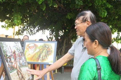Văn hóa - Nghệ thuật Thông tin văn hóa Triển lãm 60 bức ảnh về quê hương Thừa Thiên Huế