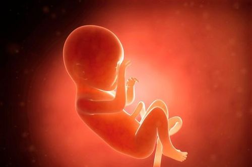 Thẩm phán liên bang cản luật cấm phá thai gây tranh cãi
