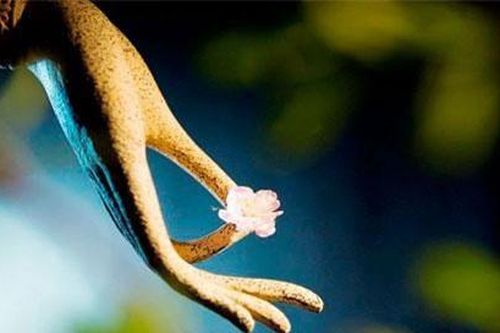 Phật dạy: Con người nếu thay đổi 2 thói nghĩ sau, vận số sẽ lập tức hanh thông