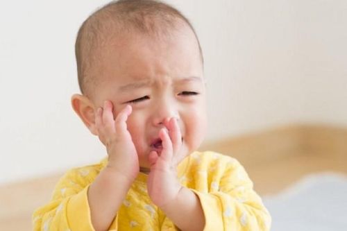 Sơn đậu căn có tác dụng gì khi trẻ bị viêm VA?