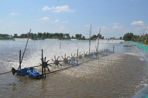 Kiên Giang đầu tư phát triển mạng lưới điện cho vùng sâu vùng xa