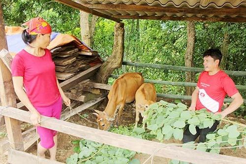 Hua Păng đẩy mạnh chuyển đổi sản xuất, xóa nghèo