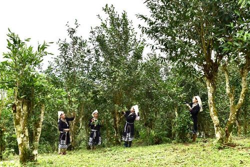 Na Hang sẵn sàng cho Ngày hội văn hóa, thể thao và du lịch