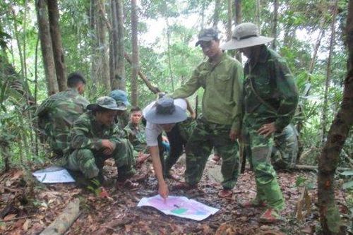 Kinh tế Nông nghiệp - Nông thôn Thực hiện nghiêm các quy định của pháp luật về quản lý, bảo vệ rừng