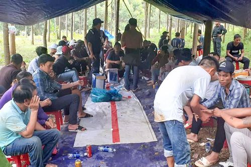 Khởi tố 12 bị can đánh bạc ở rừng cao su