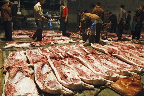 Thiếu thịt lợn, người Trung Quốc bắt đầu ăn thịt giả